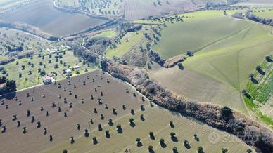 TER. AGRICOLO A ROSETO DEGLI ABRUZZI