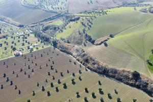 TER. AGRICOLO A ROSETO DEGLI ABRUZZI