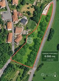 TER. RESIDENZIALE A LOSINE