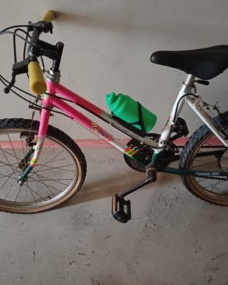 bicicletta