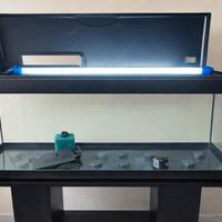 Acquario 100 cm 120L  con MOBILE + LUCE