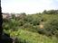 Immagine 29