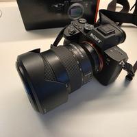 Sony A7 Mark III + 24/105 F4 G