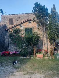 Casale in pietra vicino Saturnia (GR)