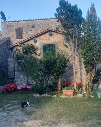 Casale in pietra vicino Saturnia (GR)