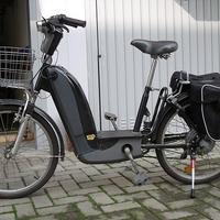 ardielli eco bike