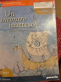 Un incontro inatteso