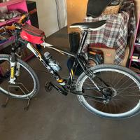 Bicicletta lee cougan