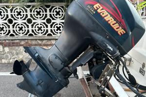 Motore Envirude 90cv