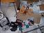 Immagine 6