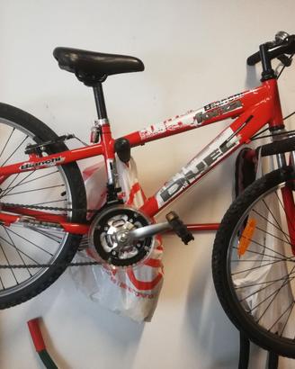 Bicicletta mtb da ragazzo