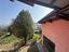 Immagine 30
