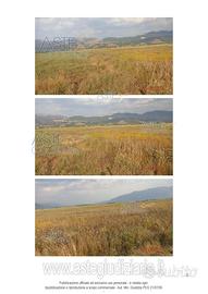 Terreno Agricolo Sant'Arsenio [A4299303]
