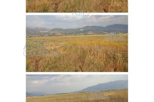 Terreno Agricolo Sant'Arsenio [A4299303]