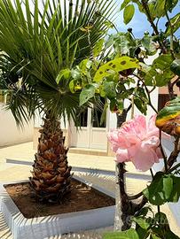 Casa con spazi esterni a due passi dalle spiagge