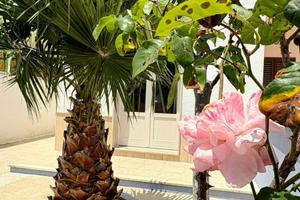 Casa con spazi esterni a due passi dalle spiagge