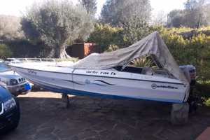 Barca a motore