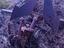 Immagine 3