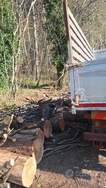 legna da ardere per stufa e camino il boscaiolo 