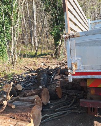 legna da ardere per stufa e camino il boscaiolo 