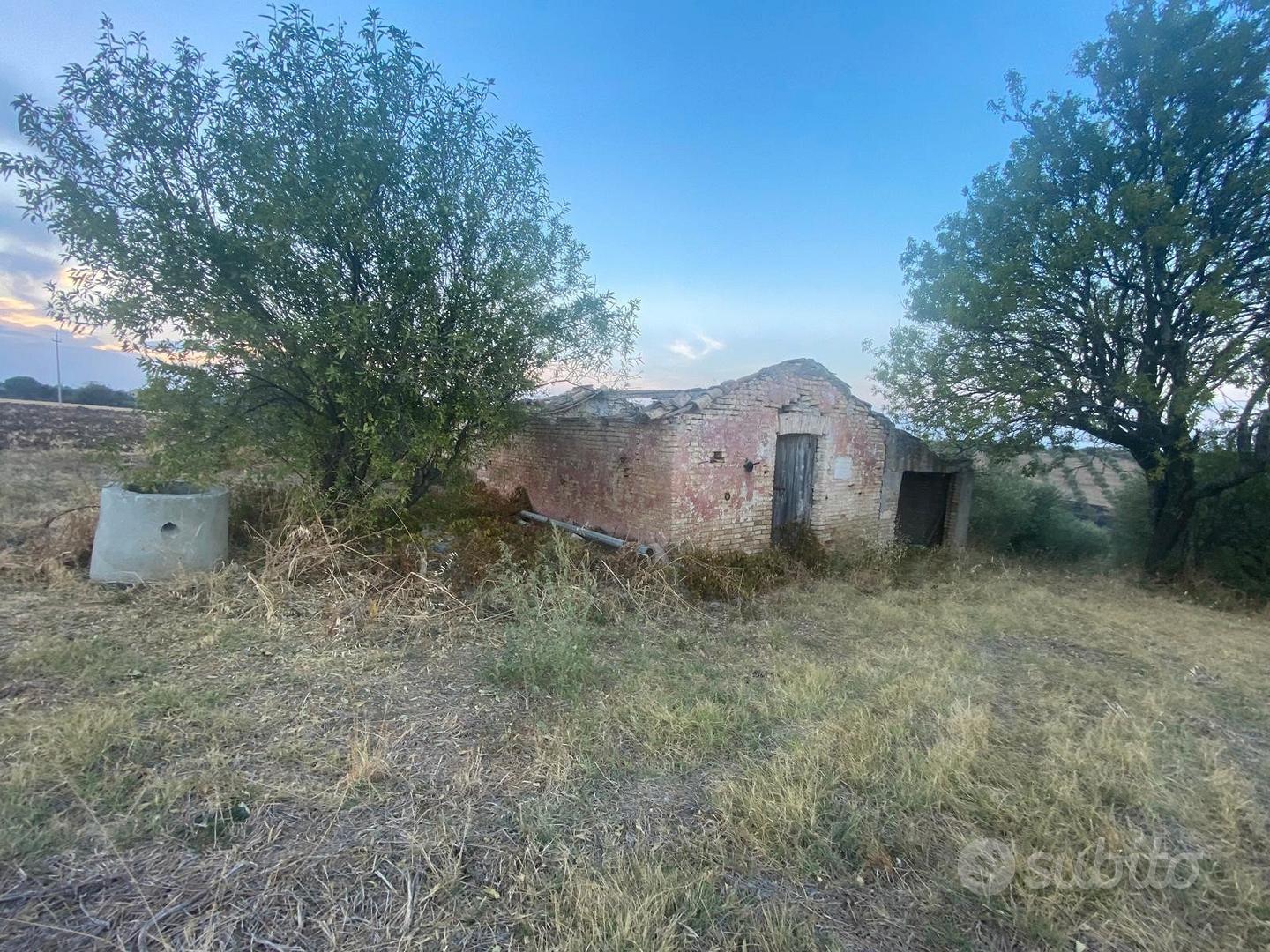 Terreno con oliveto zona convento rif.743 - Vista 2