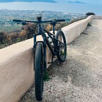 Specialized epic evo