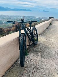 Specialized epic evo