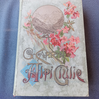 Antico libro Alpi Giulie 1895