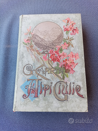 Antico libro Alpi Giulie 1895