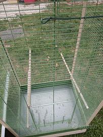 Voliera per uccellini.