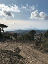 Terreno paesaggistico