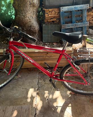 Bici da sistemare