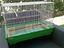 Immagine 1