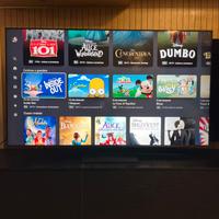 Tv lg QNED Evo Ai mini led 65 pollici 2025