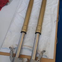 Bmw f 800 gs forcelle