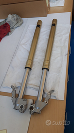 Bmw f 800 gs forcelle