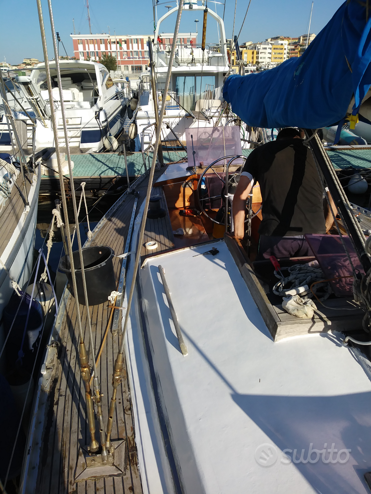 Cat 38 — View photo 1