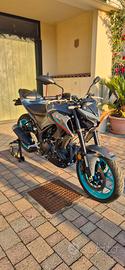Mt 03 Abs