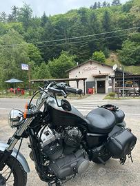 Harley davidson sportster 1200 nighster