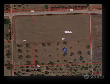 Terreno agricolo con uliveto e trullo