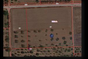 Terreno agricolo con uliveto e trullo