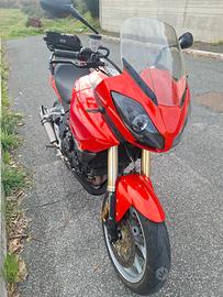 Triumph Tiger 1050 abs