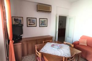 Appartamento arredato disponibile dal 01/12/26