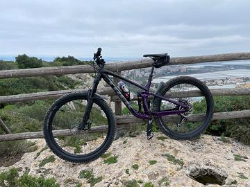 MTB TREK fuel ex 8 2020