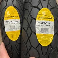 Pneumatici moto dunlop