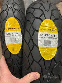 Pneumatici moto dunlop