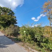 Terreno agricolo di mq 7000
