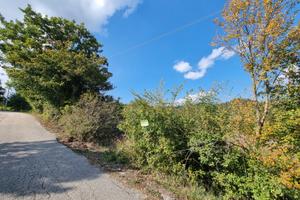 Terreno agricolo di mq 7000