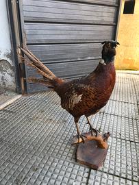 Fagiano impagliato su supporto di legno