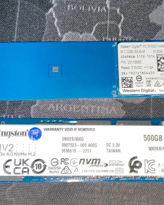DISCO  Memorie Ssd Nvme Kingston SNV2S/500g